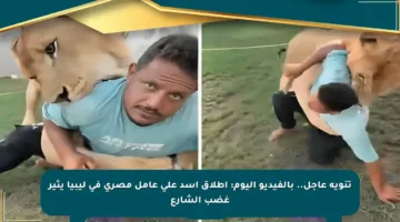 تنويه عاجل.. بالفيديو اليوم: إطلاق أسد على عامل مصري في ليبيا يثير غضب الشارع